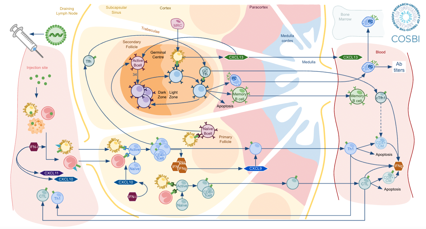 GSK_per_sito_web_COSBI